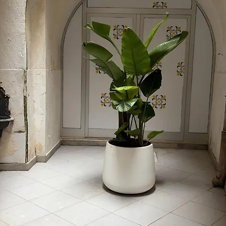 Giardino Mediterraneo * 特拉帕尼